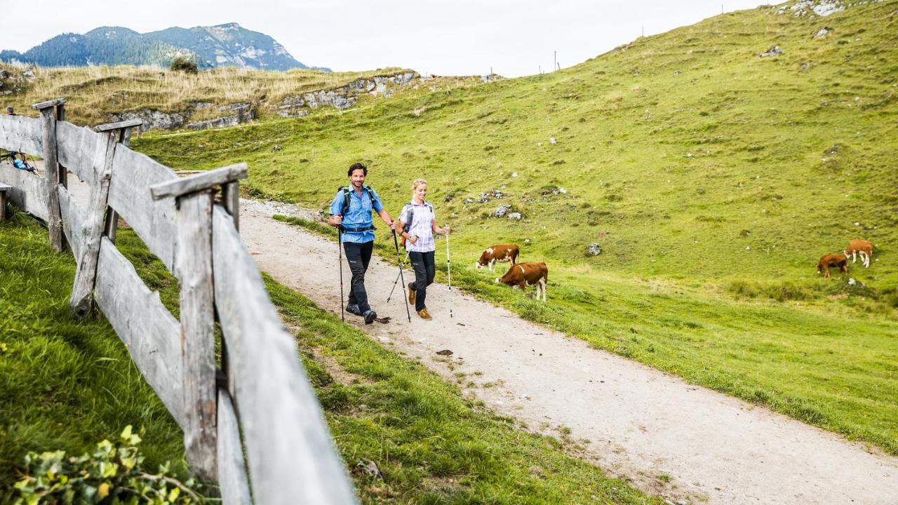 Pension Wolfsegg Kirchberg in Tirol Exteriör bild