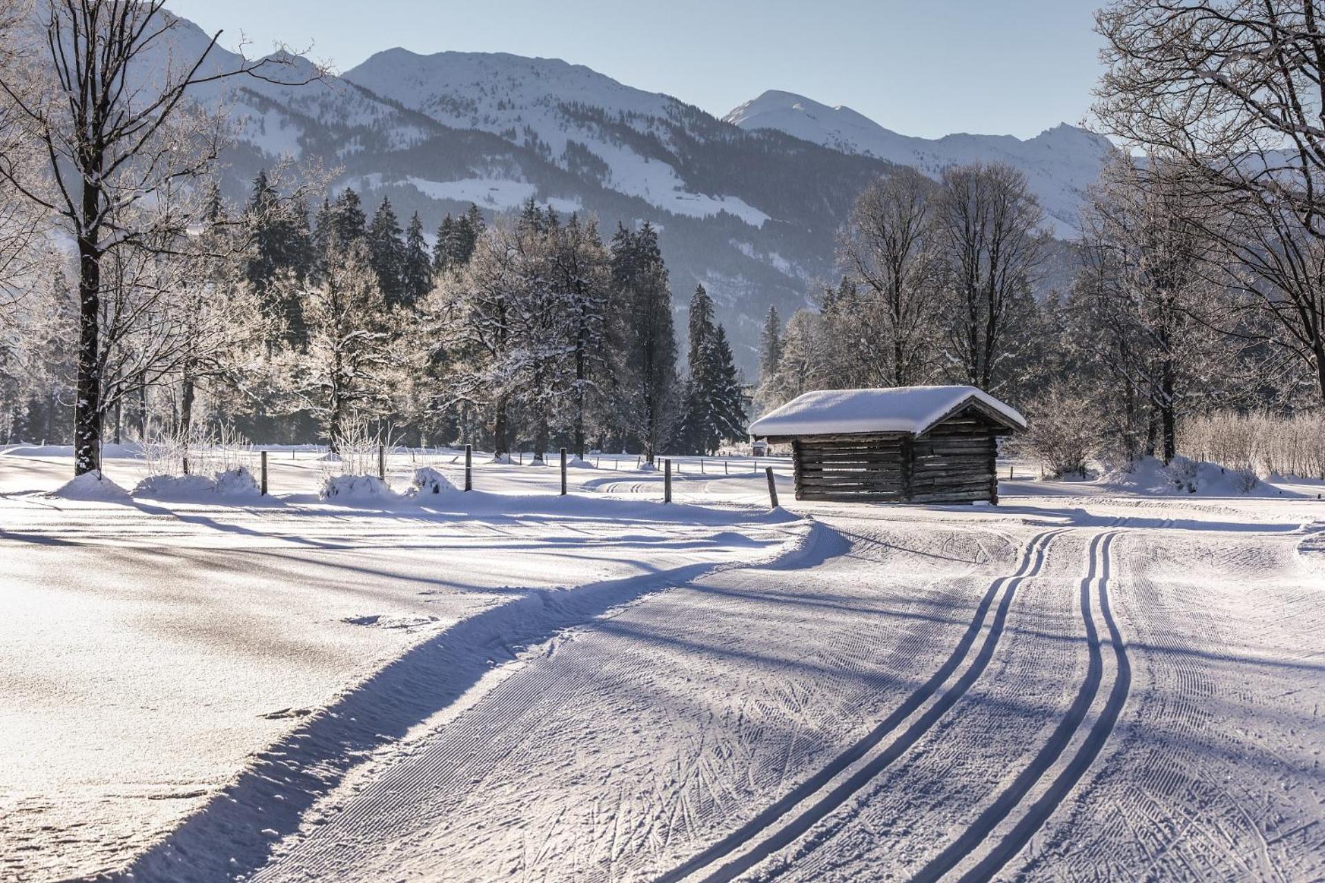 Pension Wolfsegg Kirchberg in Tirol Exteriör bild